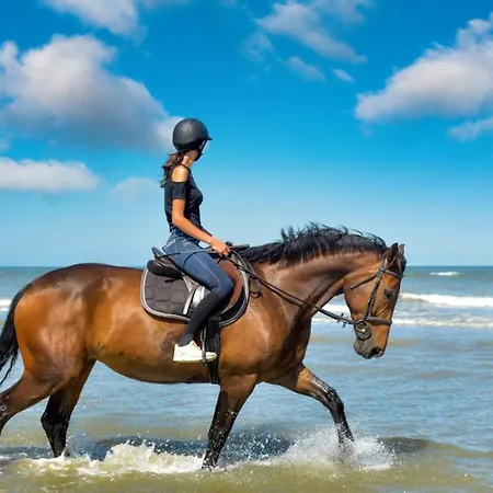 Bed & Breakfast Les Quatre Vents 4*