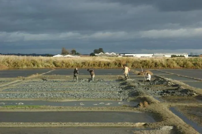 Les Quatre Vents La Baule-Escoublac