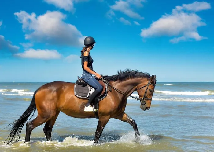 Oda ve Kahvaltı Les Quatre Vents 4*